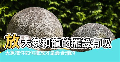 大象 五行|【象神五行屬性】風水大象的擺放方法 